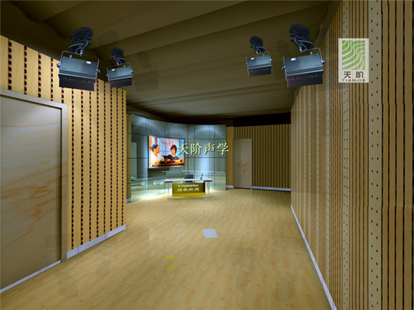 天階聲學(xué)百科：體育館進行吸音降噪處理的重要性